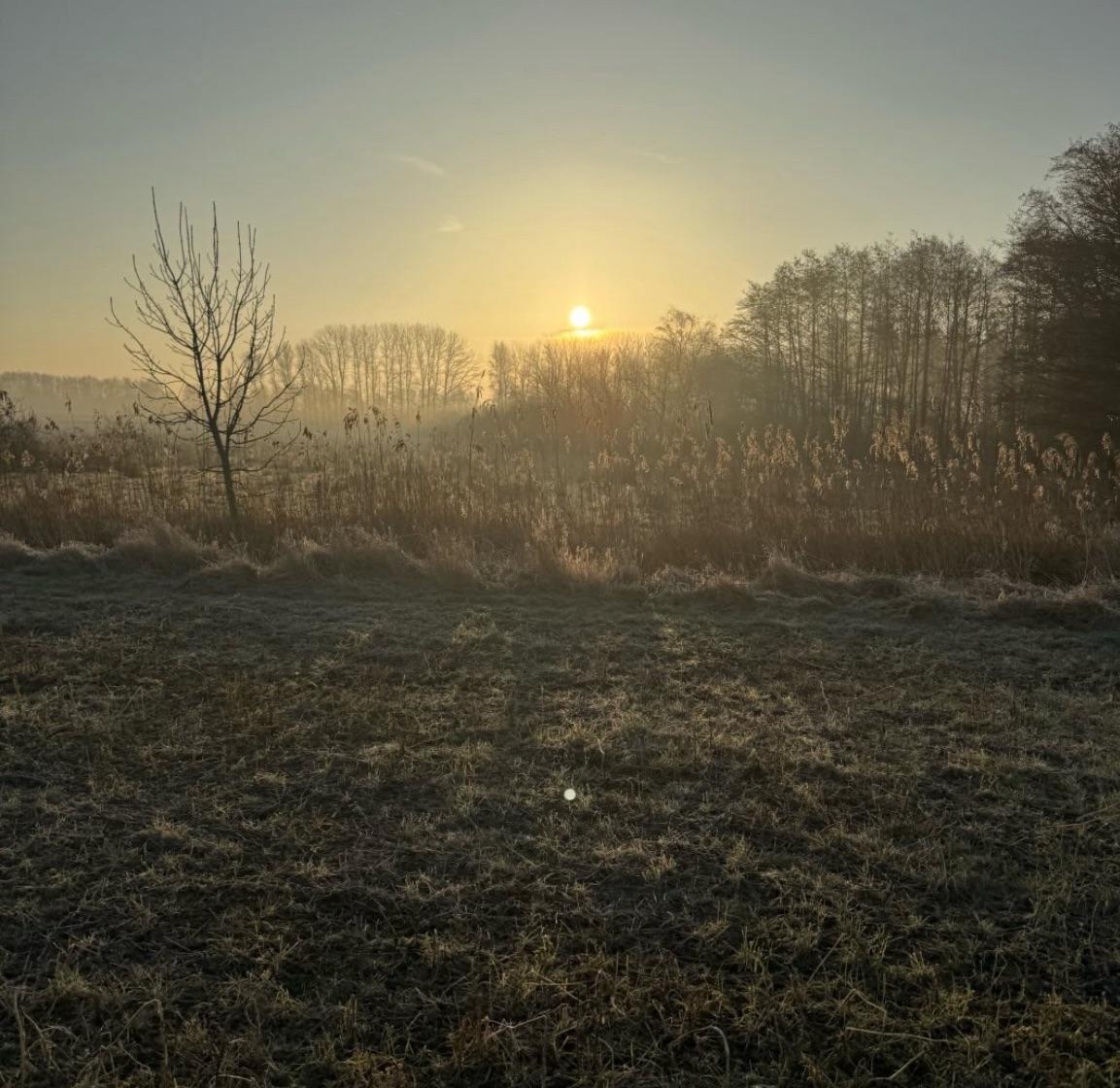 Tuse Butterup Naturpark
