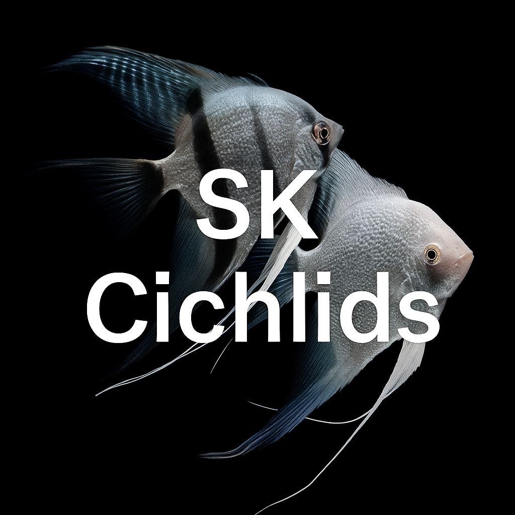 Skcichlids