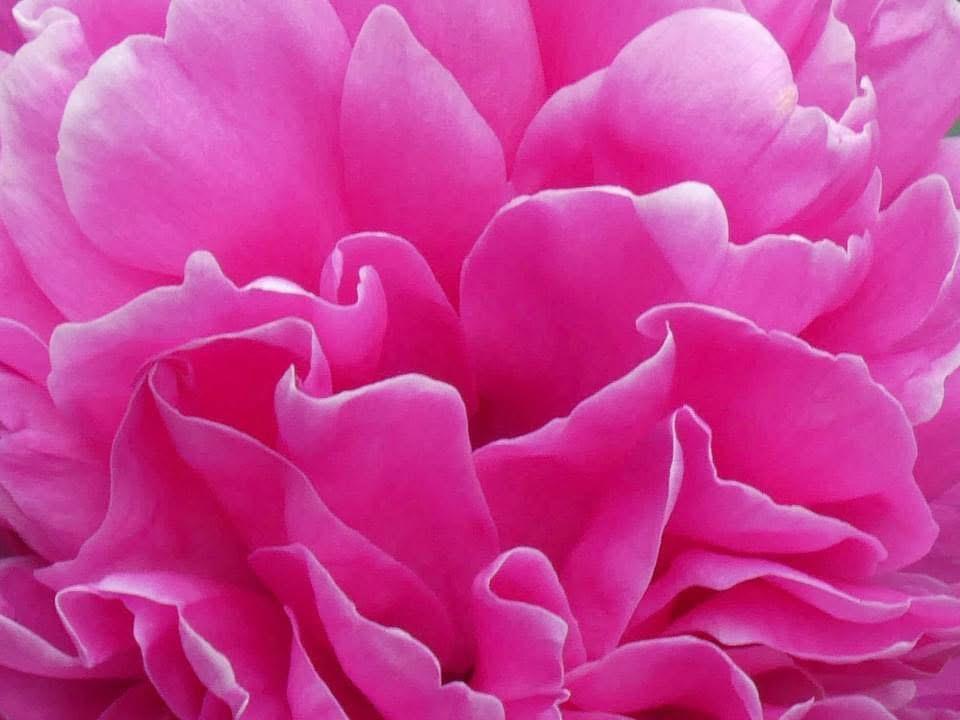 FOTOs by LivitaVenus