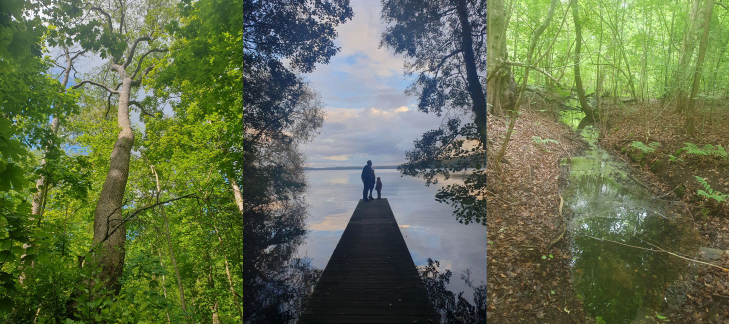 Nattergalelundens Venner