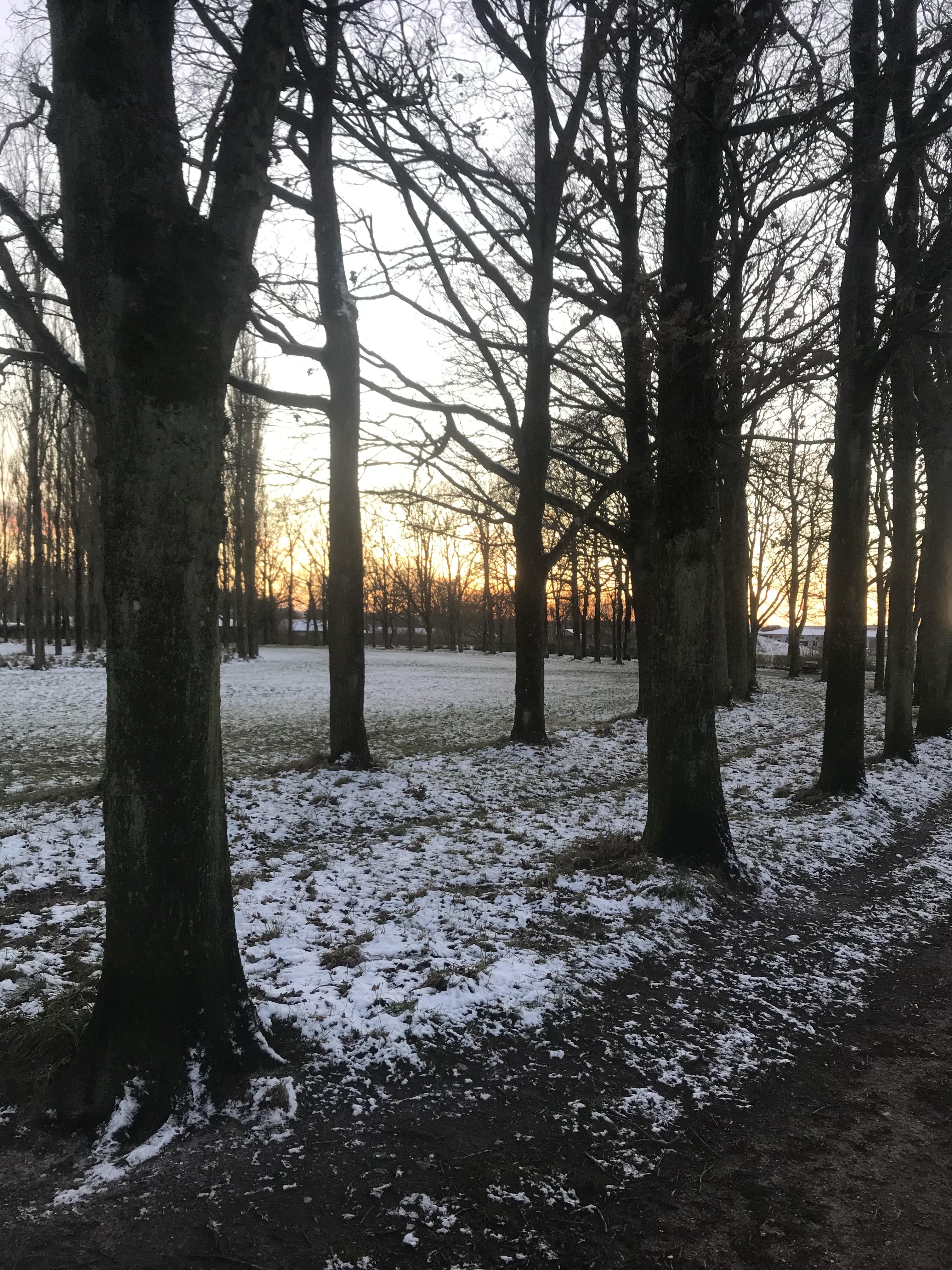 S&oslash;ernes, engenes og hasserisernes Bydel