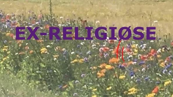Os der har forladt religion 